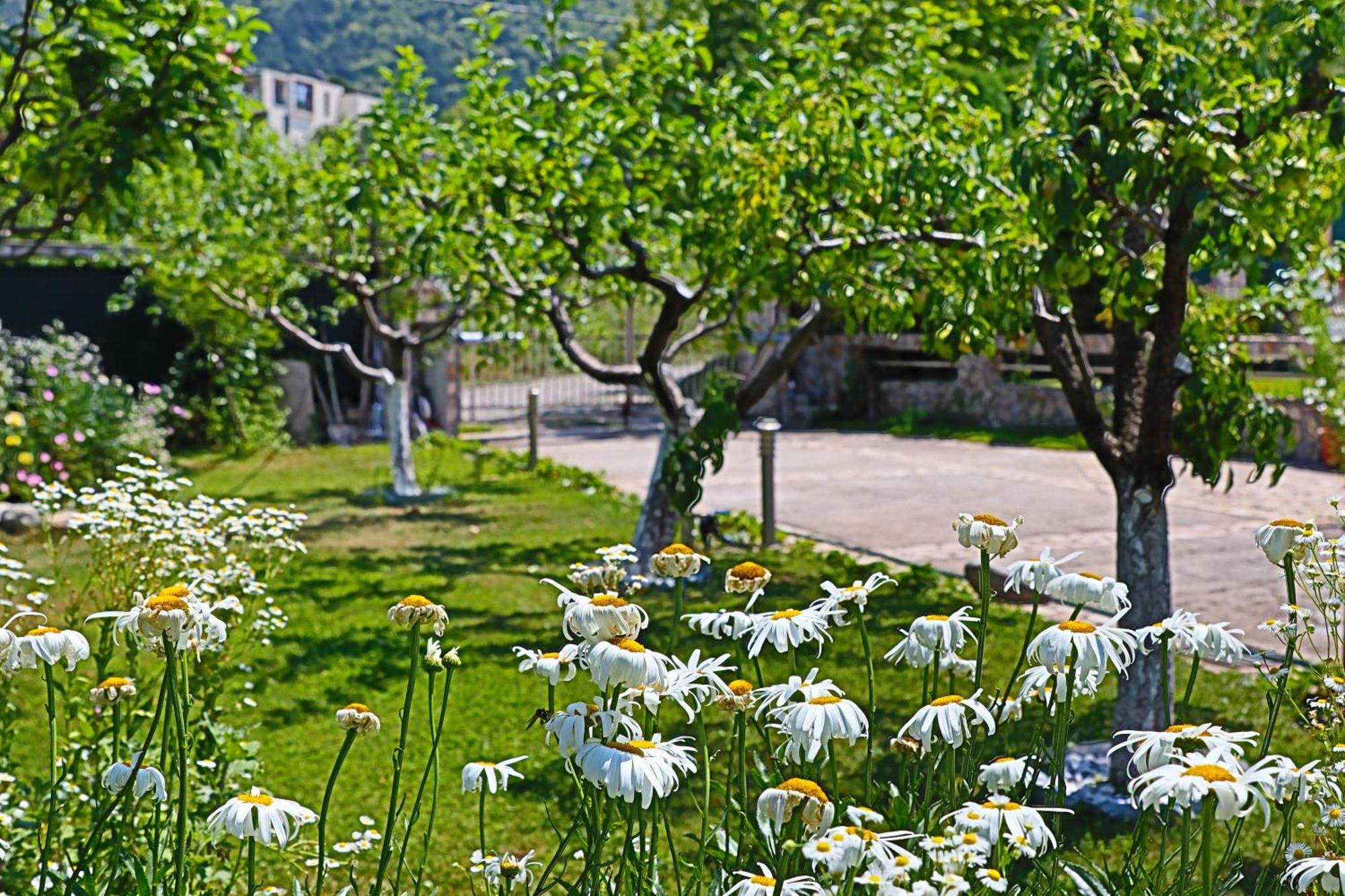 Holiday House Kubrat Saparewa Banja Exterior foto